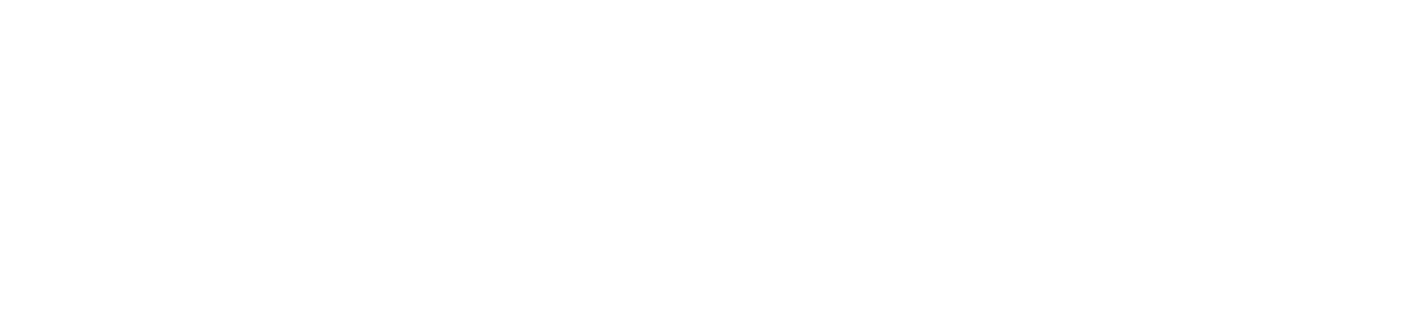Domus Holmes